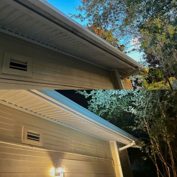 Gutter Cleaning in Lake County FL
