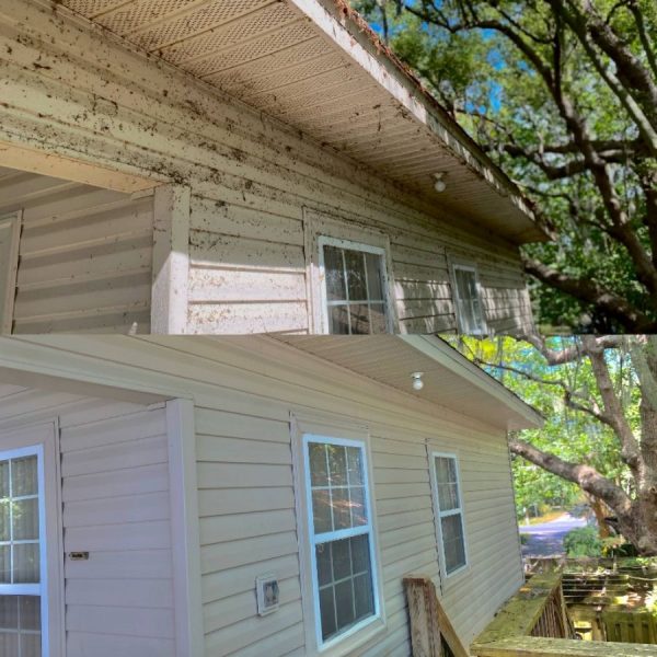 House Washing job near Lake County FL